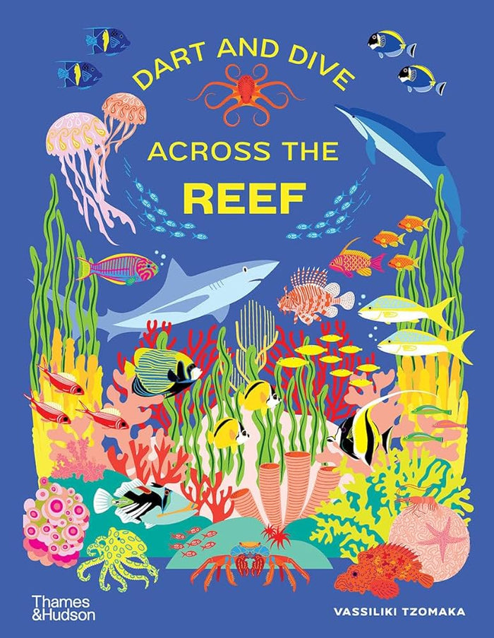 Dart and Dive Across the Reef: Life in the World’s Busiest Reefs