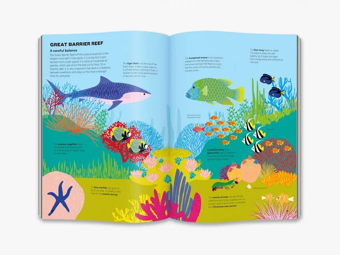 Dart and Dive Across the Reef: Life in the World’s Busiest Reefs