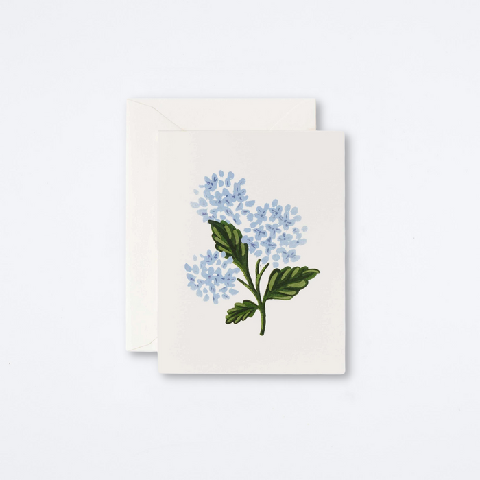 Hydrangea Bloom Card