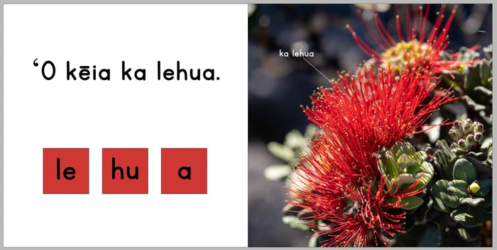 Ka Lehua