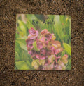 Ke ʻAʻAliʻi