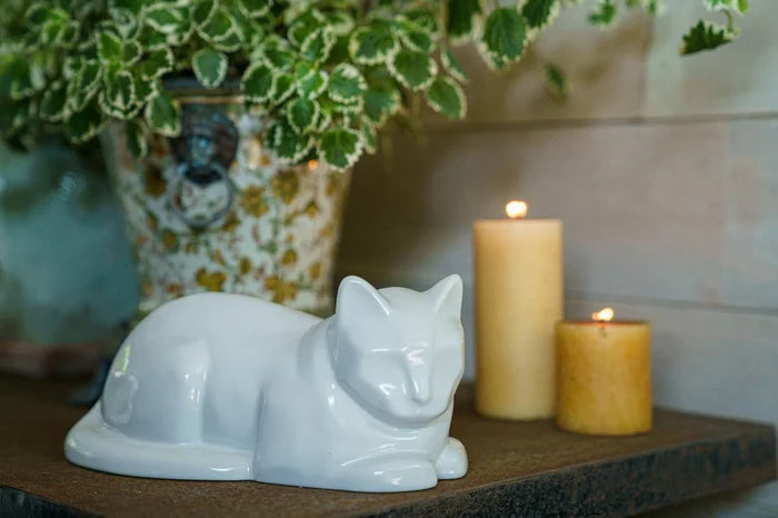White laying cat ceramic urn resting on a wooden surface with candles in the background