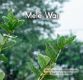 Mele Wai