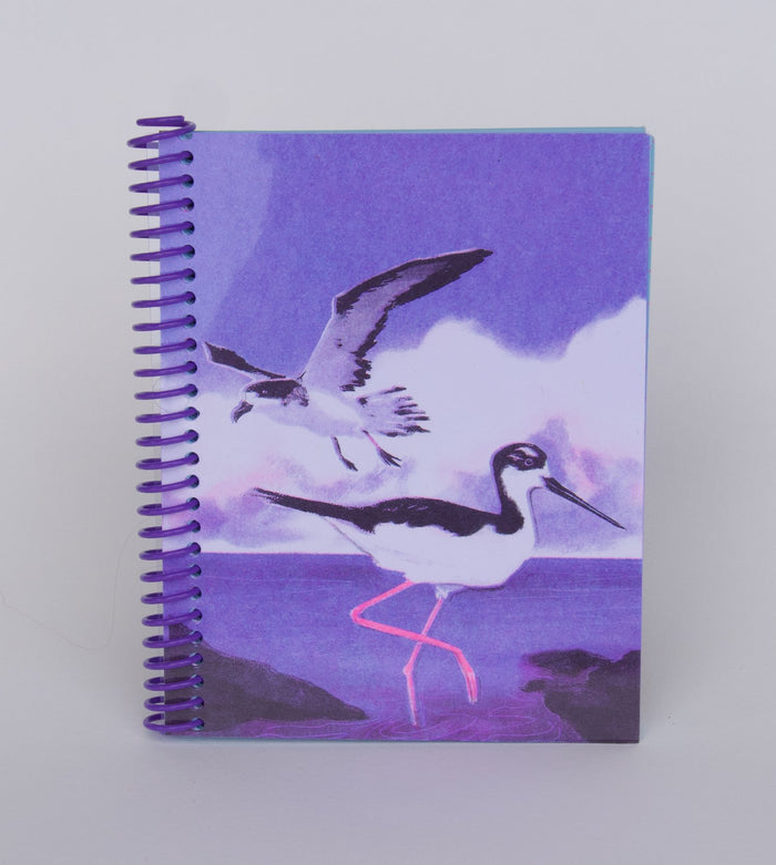 Pencil Urchin Press Spiral Bound Notebooks, Small